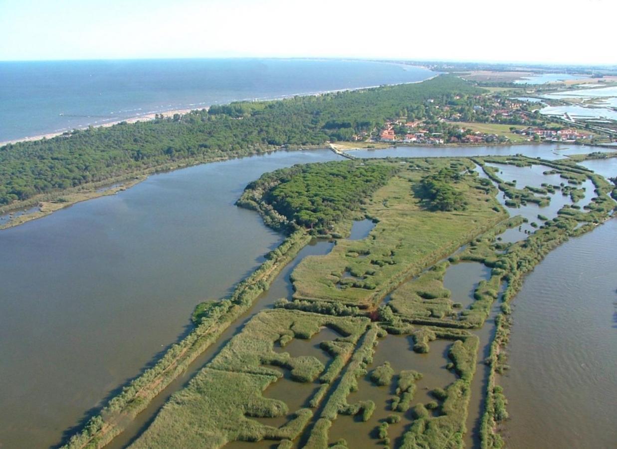 Peaceful Flat With Direct Beach Access Rosolina Mare Zewnętrze zdjęcie